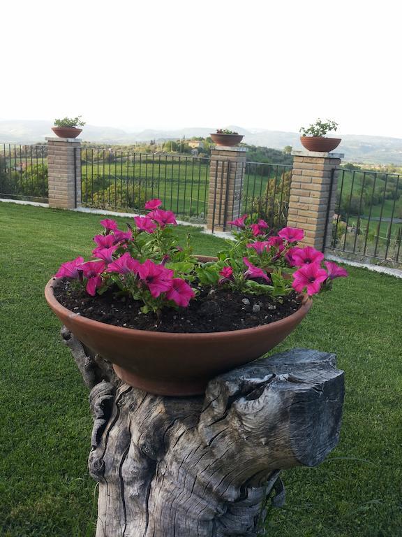 B&B La Piaggia Монтемерано Номер фото
